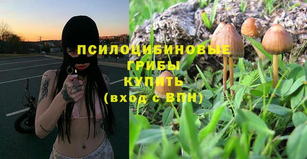 сатива Ладушкин