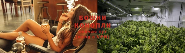сатива Ладушкин