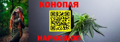 прущие грибы Апрелевка