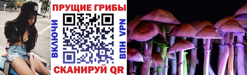 Галлюциногенные грибы MAGIC MUSHROOMS  kraken сайт  Калининград 