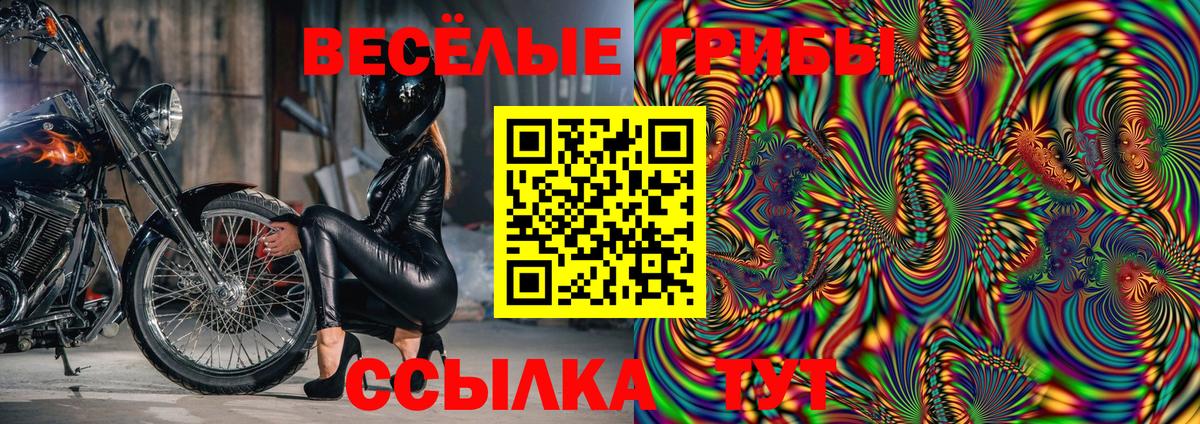 Галлюциногенные грибы Psilocybe Калининград