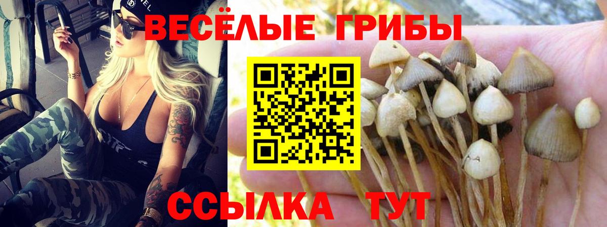 Галлюциногенные грибы MAGIC MUSHROOMS  Вход с VPN  Калининград 