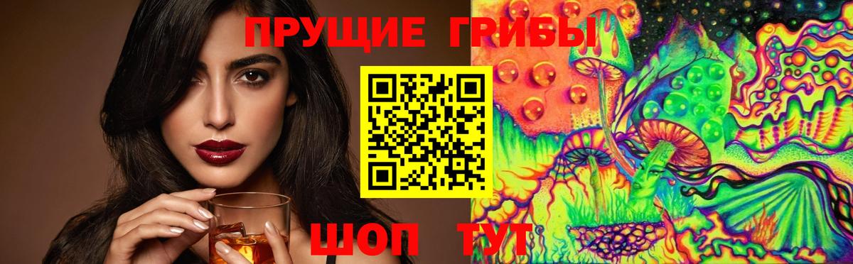 Галлюциногенные грибы GOLDEN TEACHER  Псилоцибиновые грибы Psilocybe  Калининград 