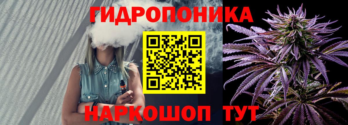 Бошки марихуана OG Kush  МАРИХУАНА план  Калининград  Конопля Bruce Banner 